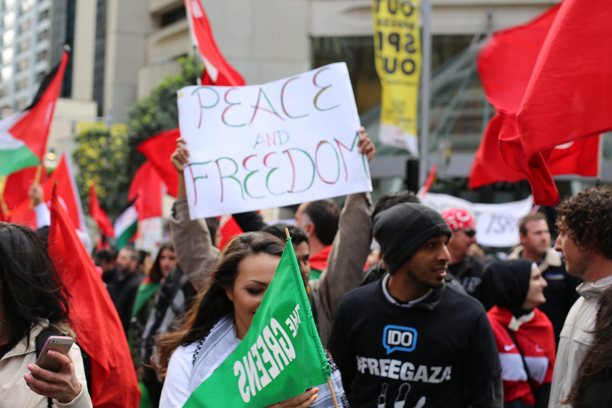 Pro-Palestine group files legal challenge against Australia state's anti-protest laws
