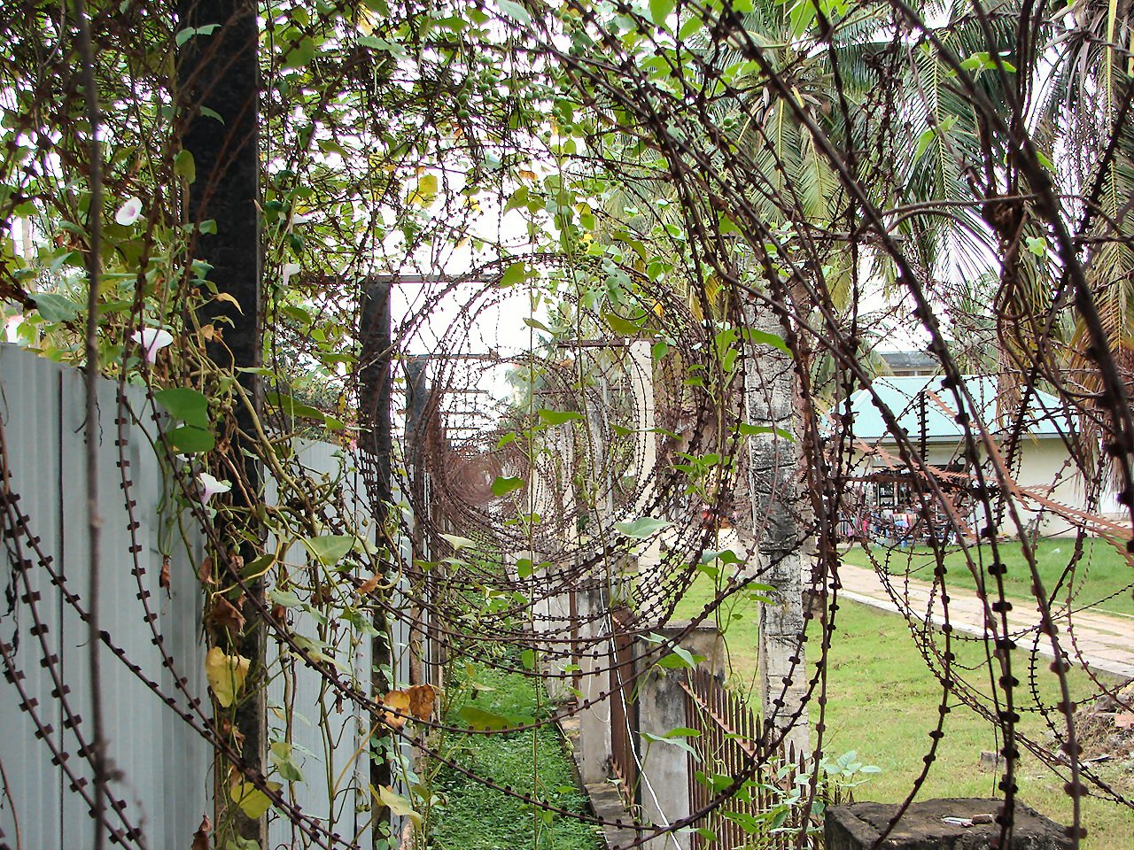 Amnesty International: widespread human trafficking and forced labor in Cambodian 'scam compounds'
