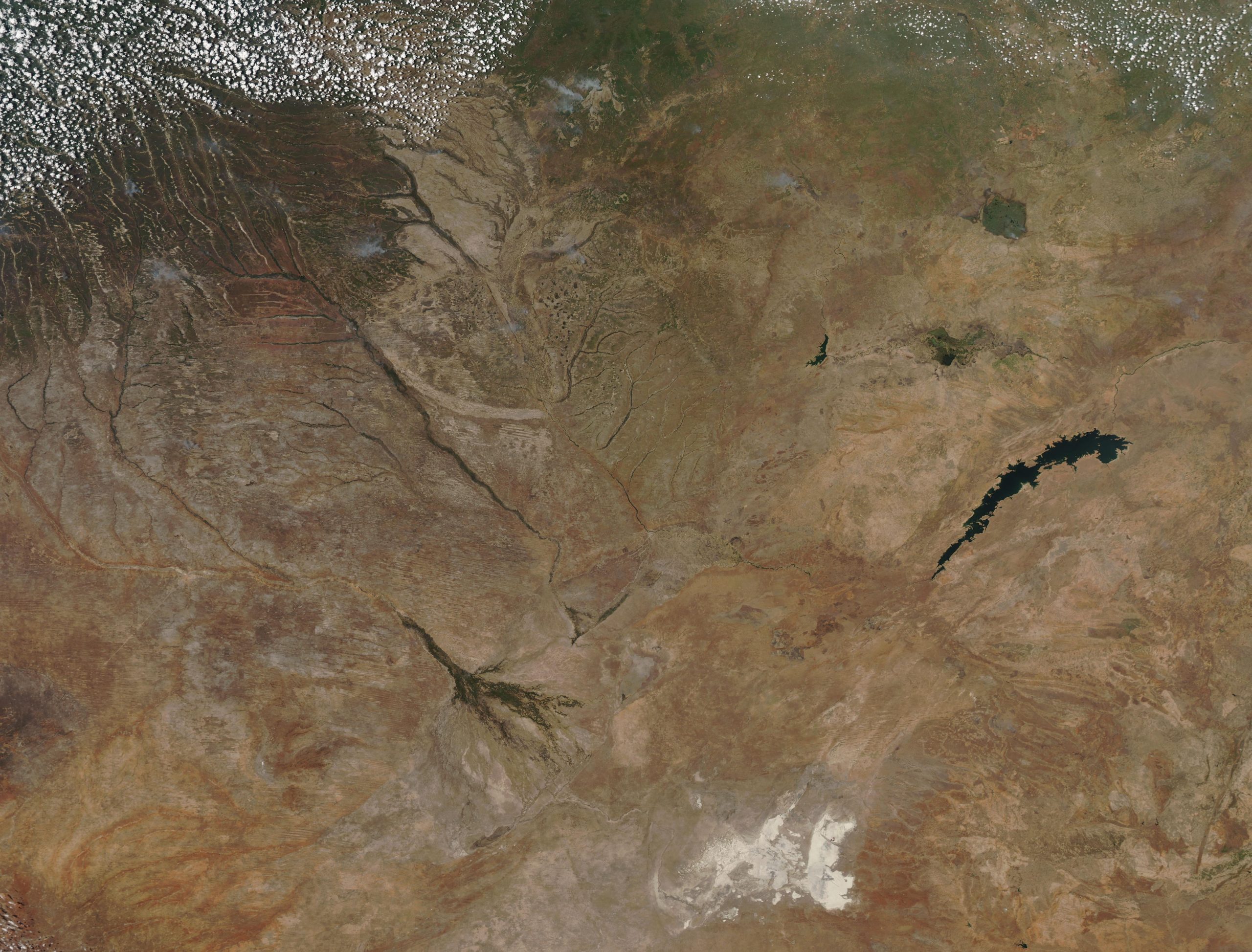 Angolans fleeing drought face arrest and deportation in Namibia, report says