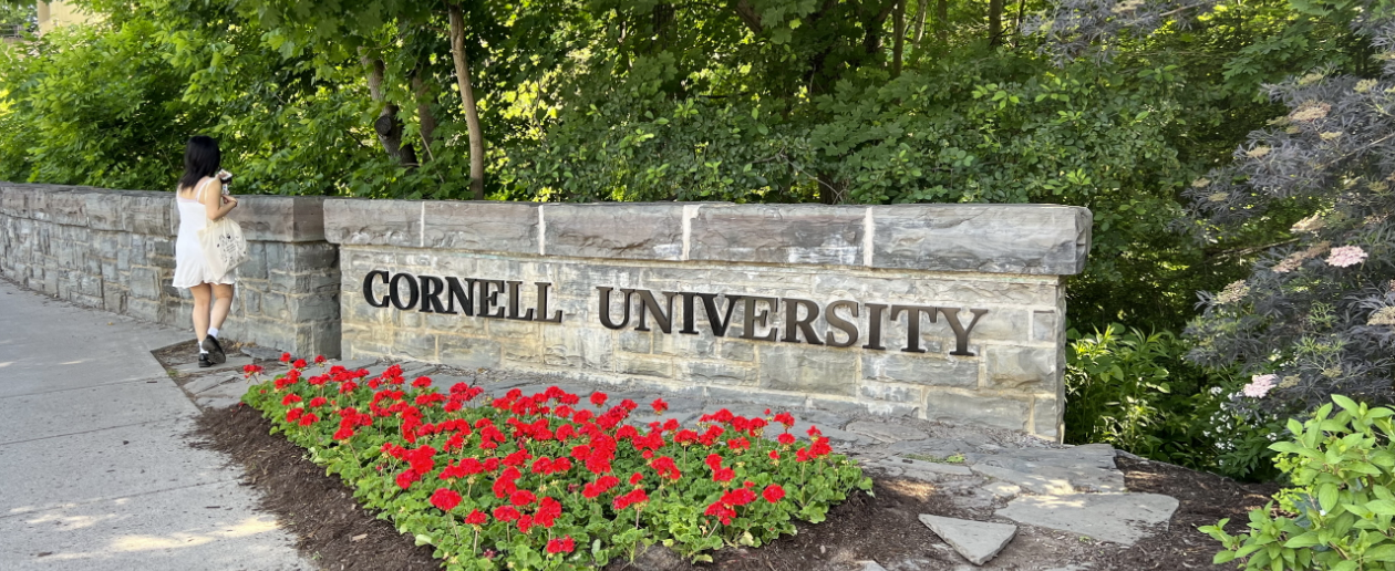 District Attorney reopens Cornell gang rape case after lawsuit is filed